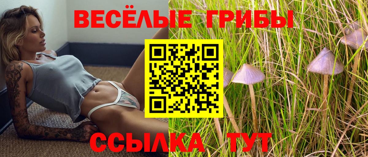 Электросталь  Галлюциногенные грибы Magic Shrooms  Вход с VPN 