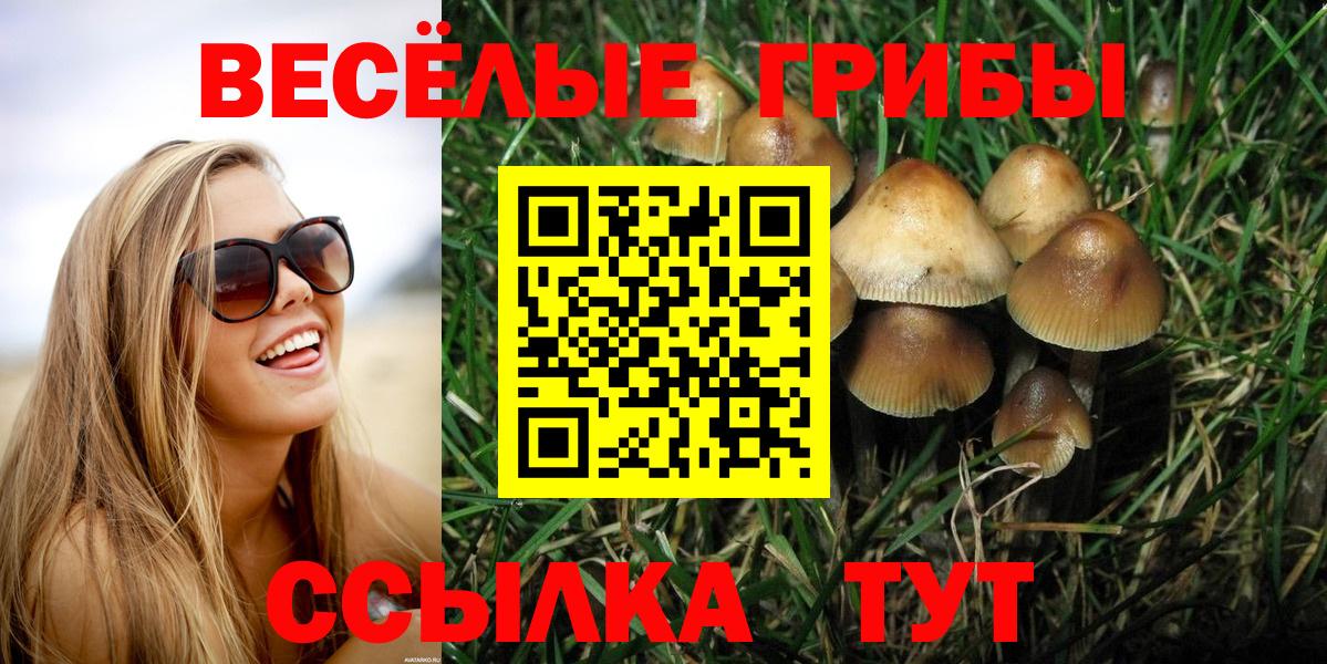 Псилоцибиновые грибы Psilocybe Электросталь