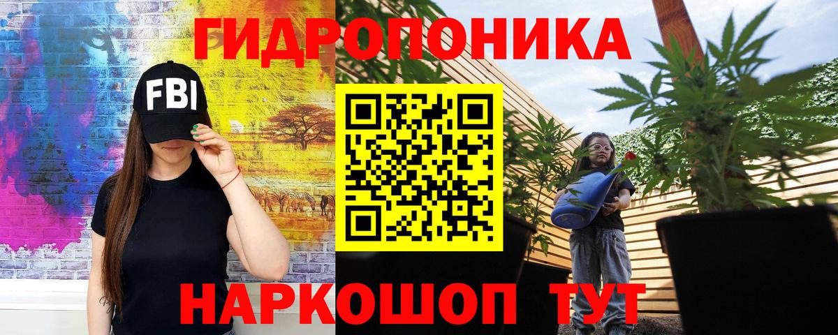 Бошки марихуана гибрид  Марихуана семена  Шишки марихуана MAZAR  Электросталь  Канабис White Widow  Вход с VPN 